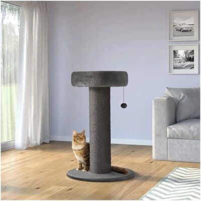 Albero per Gatti AniOne Mary - Superficie in peluche e palla - 58x58x89cm Albero per Gatti AniOne Mary - Superficie in peluche e palla - 58x58x89cm
