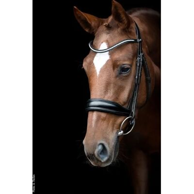 Schockemöhle Sports Schwarz/Silber Trense Slimford - Reitausrüstung Schockemöhle Sports Schwarz/Silber Trense Slimford - Reitausrüstung
