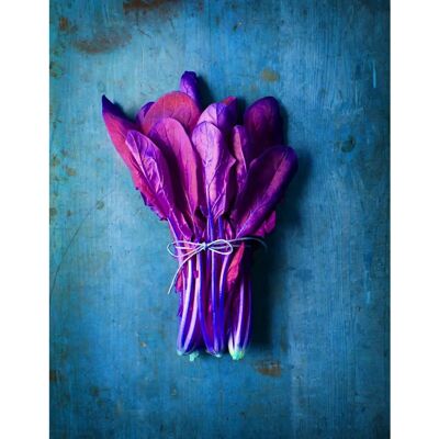 QUEENCE Eika Beig/Lila Acrylglasbild - Wandkunst QUEENCE Eika Beig/Lila Acrylglasbild - Wandkunst