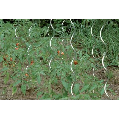 Floraworld Stella a Spirale per Pomodori - Supporto per piante in rapida crescita Floraworld Stella a Spirale per Pomodori - Supporto per piante in rapida crescita