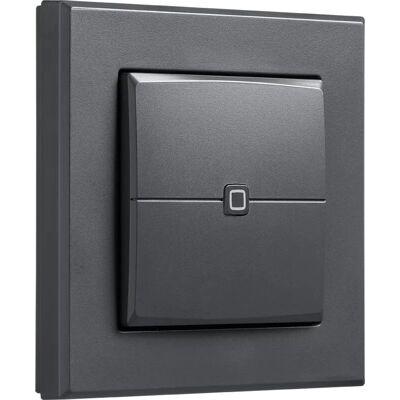 eQ-3 - Homematic IP Wired Wandtaster HmIPW-WRC2-A - 2-Kanal eQ-3 - Homematic IP Wired Wandtaster HmIPW-WRC2-A - 2-Kanal