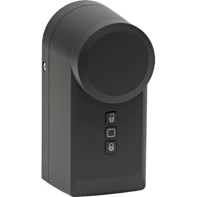 Serrure intelligente Homematic IP - Modèle HmIP-DLD-A, Anthracite, IP20 Serrure intelligente Homematic IP - Modèle HmIP-DLD-A, Anthracite, IP20