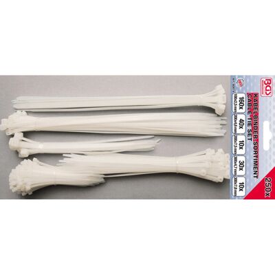 BGS TECHNIC 80874 Kabelbinder-Set, Verschiedene Größen BGS TECHNIC 80874 Kabelbinder-Set, Verschiedene Größen