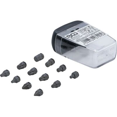 BGS TECHNIC - Set morsi sp ciali 6,3MM (1/4'') für BGS 115 BGS TECHNIC - Set morsi sp ciali 6,3MM (1/4'') für BGS 115
