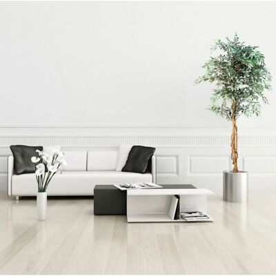 Plantasia Mű Olajfa - 180cm, Valódi Fa Törzs, 2256 Levelek és Gyümölcsök Plantasia Mű Olajfa - 180cm, Valódi Fa Törzs, 2256 Levelek és Gyümölcsök