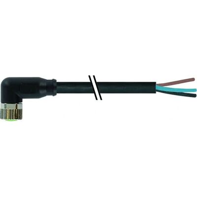 Murrelektronik 7000-08101-6310500 Connecteur - Capteur/Actionneur, 5m, 4 pôles - Publicité Murrelektronik 7000-08101-6310500 Connecteur - Capteur/Actionneur, 5m, 4 pôles - Publicité