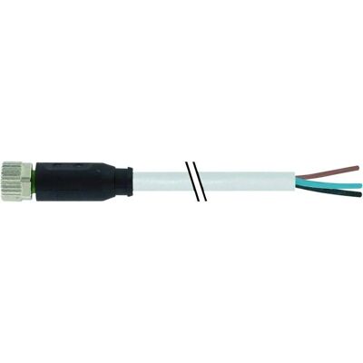 Murr Elektronik Sensor/Actuator Connector - 10m, 3 Poles, Grau - Sensor/Actuator Connector Murr Elektronik Sensor/Actuator Connector - 10m, 3 Poles, Grau - Sensor/Actuator Connector