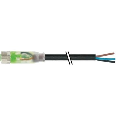 Murrelektronik 7000-08111-6300500 Connecteur capteur/acteur - 5m Murrelektronik 7000-08111-6300500 Connecteur capteur/acteur - 5m