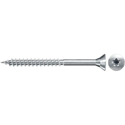 Fischertechnik 551111 Vite in legno - Zincata, profilo T-Torx, 4x35mm Fischertechnik 551111 Vite in legno - Zincata, profilo T-Torx, 4x35mm