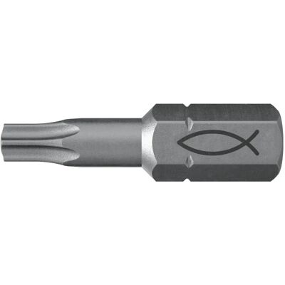 Fischer FPB T 20 PROFI Bit W 10 - Schraubenzieher Bits Fischer FPB T 20 PROFI Bit W 10 - Schraubenzieher Bits