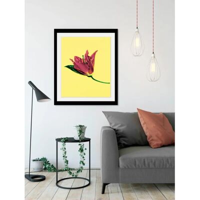QUEENCE Blume - 40 x 50 cm - gerahmt - bunt - Kunstdruck QUEENCE Blume - 40 x 50 cm - gerahmt - bunt - Kunstdruck