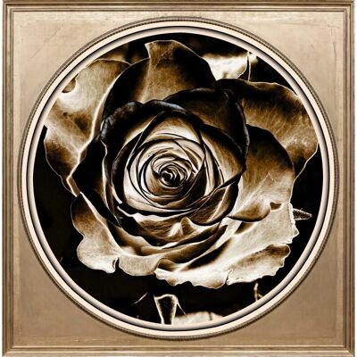 QUEENCE Rose Acrylbild - Wandkunst QUEENCE Rose Acrylbild - Wandkunst