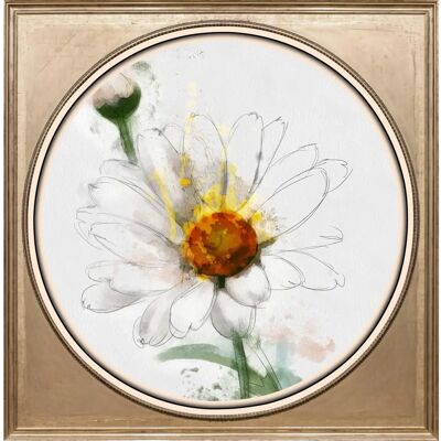 QUEENCE - Weiße Blüte - 40x40x3 cm - Acrylglasbild QUEENCE - Weiße Blüte - 40x40x3 cm - Acrylglasbild