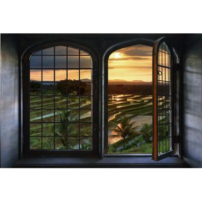 QUEENCE - Reisfelder - 60x40 cm - Wandsticker QUEENCE - Reisfelder - 60x40 cm - Wandsticker