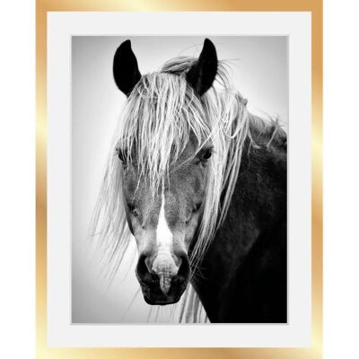 QUEENCE - Pferdekopf - 30x40x3 cm - schwarz - Framed art print QUEENCE - Pferdekopf - 30x40x3 cm - schwarz - Framed art print