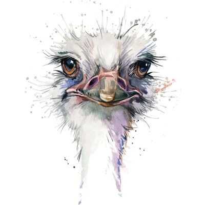 QUEENCE - Vogelstrauss - 40 x 60 cm - Leinwandbild QUEENCE - Vogelstrauss - 40 x 60 cm - Leinwandbild