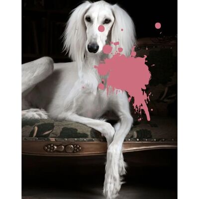 QUEENCE Grünes Hund Acrylglasbild - Galeriequalität QUEENCE Grünes Hund Acrylglasbild - Galeriequalität