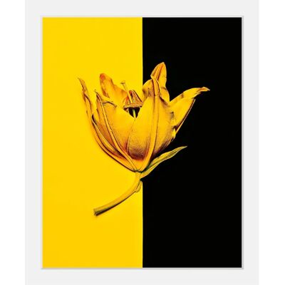 QUEENCE - Blüte - 50x70x3 cm - multicolor - Framed Art Print QUEENCE - Blüte - 50x70x3 cm - multicolor - Framed Art Print