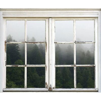 QUEENCE - Nebeliger Wald - Grün - 40x60 cm - Wall sticker QUEENCE - Nebeliger Wald - Grün - 40x60 cm - Wall sticker