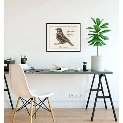 QUEENCE Passer domesticus - 70x50 Rahmen - Wandbild QUEENCE Passer domesticus - 70x50 Rahmen - Wandbild