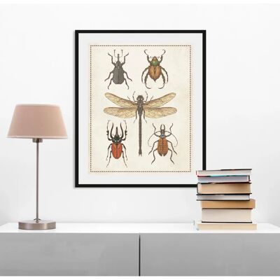 QUEENCE - Paula - 30x40 cm - braun - Framed wall art QUEENCE - Paula - 30x40 cm - braun - Framed wall art