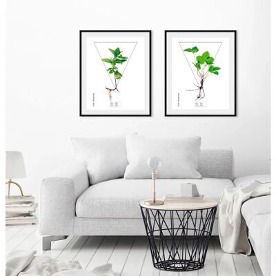 QUEENCE - Mentha - grün - 50x70 cm - Wandbild QUEENCE - Mentha - grün - 50x70 cm - Wandbild