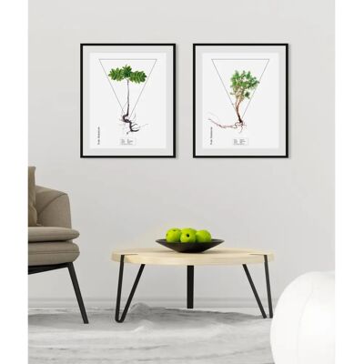 QUEENCE - Juniperus - 40x50 cm - Hochformat - Wandkunst QUEENCE - Juniperus - 40x50 cm - Hochformat - Wandkunst