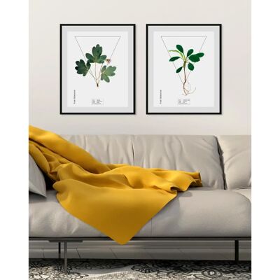QUEENCE Terminalia catappa 30x40 Hochformat gerahmtes Wandbild QUEENCE Terminalia catappa 30x40 Hochformat gerahmtes Wandbild