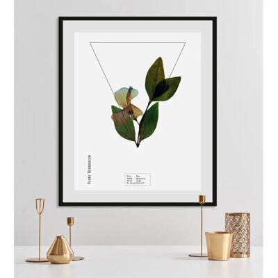 QUEENCE - Vinca - 30x40 cm - Gerahmte Wandkunst QUEENCE - Vinca - 30x40 cm - Gerahmte Wandkunst
