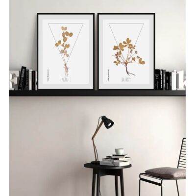 QUEENCE - Trifolium - 30x40 cm - Braun - Wandbild QUEENCE - Trifolium - 30x40 cm - Braun - Wandbild