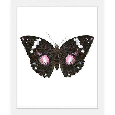 QUEENCE - Marissa - 30x40 cm - Lila - Wandkunst QUEENCE - Marissa - 30x40 cm - Lila - Wandkunst