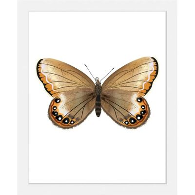 QUEENCE - Lexy - Gelb - 30x40 cm - Wandkunst QUEENCE - Lexy - Gelb - 30x40 cm - Wandkunst