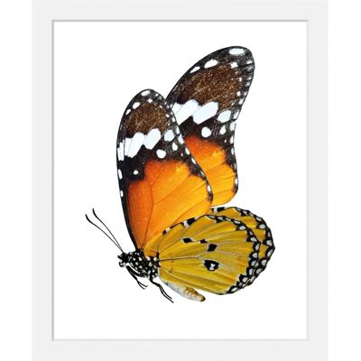 QUEENCE - Mario - orange - 30x40 Hochformat - Wall art QUEENCE - Mario - orange - 30x40 Hochformat - Wall art