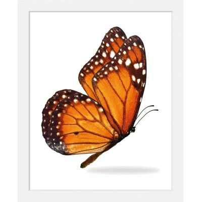QUEENCE - Jalina - 30x40 cm - orange - Wandbilddruck QUEENCE - Jalina - 30x40 cm - orange - Wandbilddruck
