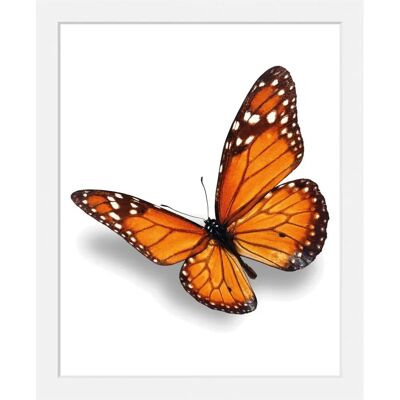 QUEENCE - Evelina - 40x50 cm - orange - Wandbilddruck QUEENCE - Evelina - 40x50 cm - orange - Wandbilddruck