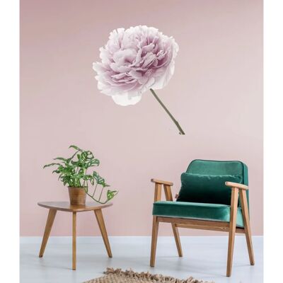 QUEENCE - Anna - Rosa Blume - 80x80 cm - Wandtattoo QUEENCE - Anna - Rosa Blume - 80x80 cm - Wandtattoo