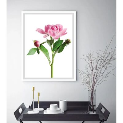 QUEENCE - Gundula - rosa-grün-weiß - Gerahmte Wandkunst QUEENCE - Gundula - rosa-grün-weiß - Gerahmte Wandkunst