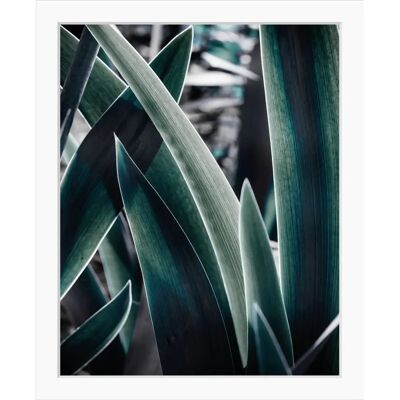 QUEENCE - Juli - Grün - Schwarzer Rahmen - Framed print QUEENCE - Juli - Grün - Schwarzer Rahmen - Framed print