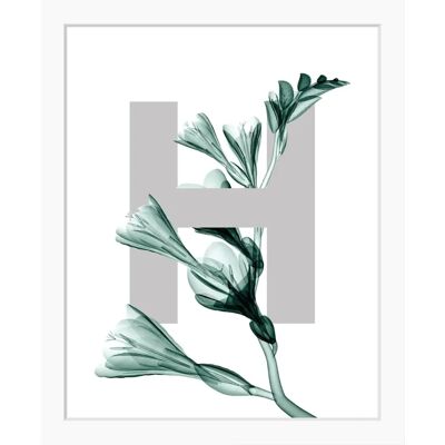 QUEENCE - H-Flower - 40x50 cm - Hochformat - Wandbild QUEENCE - H-Flower - 40x50 cm - Hochformat - Wandbild