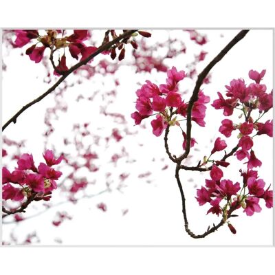 QUEENCE Roxanne Wandbild - Blumen, Rosa, Rechteckig QUEENCE Roxanne Wandbild - Blumen, Rosa, Rechteckig
