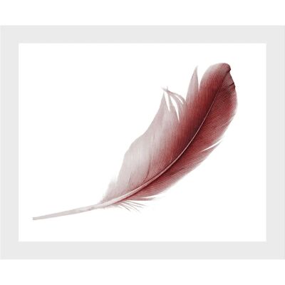 QUEENCE Muriel Wandbild - Federn, Rot & Schwarz, 60x50 cm QUEENCE Muriel Wandbild - Federn, Rot & Schwarz, 60x50 cm