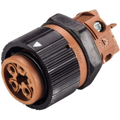 Wieland Electric Wieland Electric RST MINI 5-pol rundstik - Elektrisk stik Wieland Electric Wieland Electric RST MINI 5-pol rundstik - Elektrisk stik