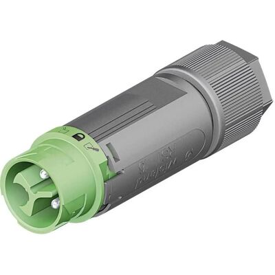 Wieland RST MINI 2-polige Groene Connector - Elektrische Connector Wieland RST MINI 2-polige Groene Connector - Elektrische Connector