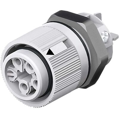 Wieland Electric RST MINI 3-polige ronde connector Wieland Electric RST MINI 3-polige ronde connector