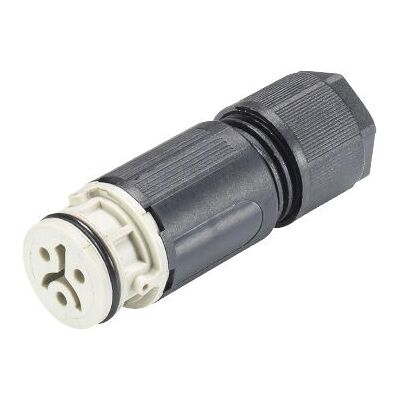 Wieland RST Stecker 2-polig, Kabelmontage - Elektrischer Kabelverbinder Wieland RST Stecker 2-polig, Kabelmontage - Elektrischer Kabelverbinder