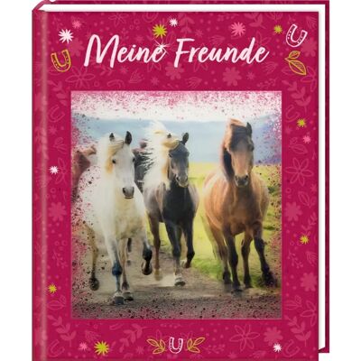 Coppenrath Pferdefreunde Freundebuch - Pferdefreunde - Freundebuch Coppenrath Pferdefreunde Freundebuch - Pferdefreunde - Freundebuch