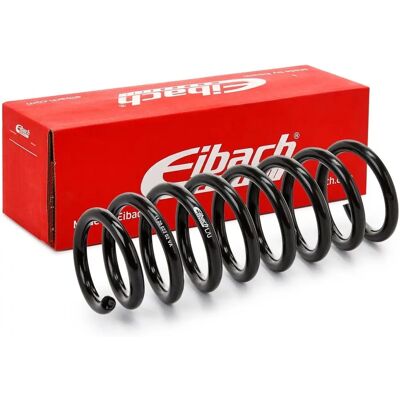 EIBACH Eibach Single Spring Pro-Kit F11-20-022-02-VA - Fjær til oppheng EIBACH Eibach Single Spring Pro-Kit F11-20-022-02-VA - Fjær til oppheng