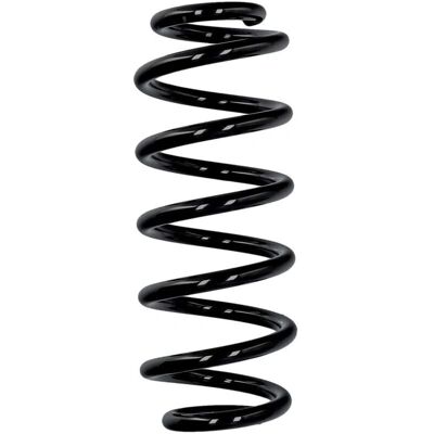Molla di sospensione posteriore Eibach Smart Fortwo R10552 Molla di sospensione posteriore Eibach Smart Fortwo R10552