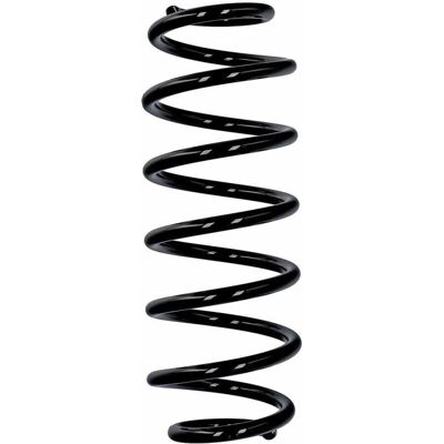Eibach veerspiraanspring voor Ford Fiesta - R12438 Eibach veerspiraanspring voor Ford Fiesta - R12438