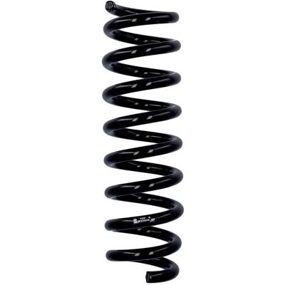 Ελατήριο ανάρτησης Eibach R23049 - BMW Πίσω ελατήριο Ελατήριο ανάρτησης Eibach R23049 - BMW Πίσω ελατήριο